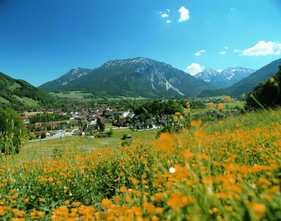 Am Westernberg Inkl. Chiemgaukarte *